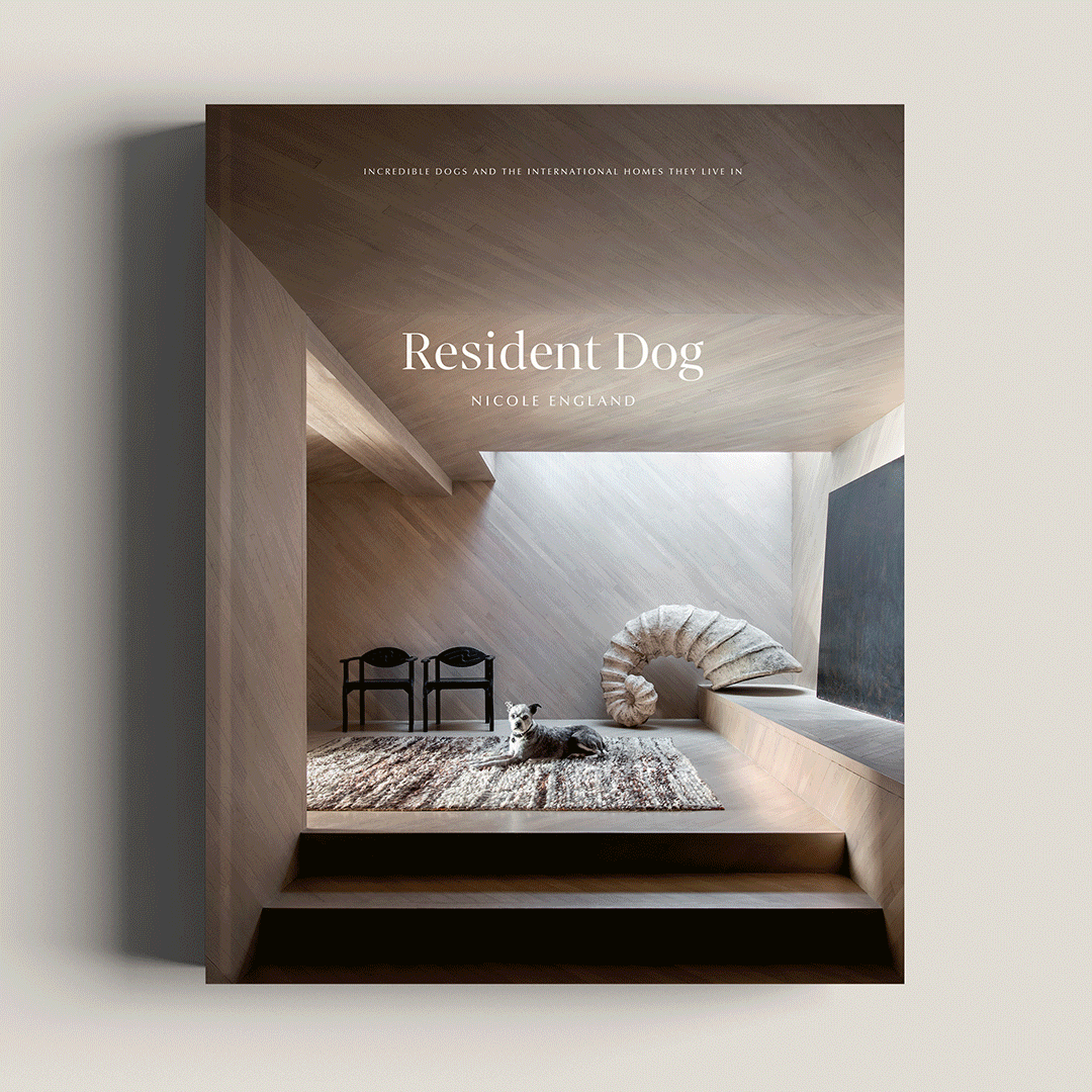 Resident Dog BOOK AVAIL NOW